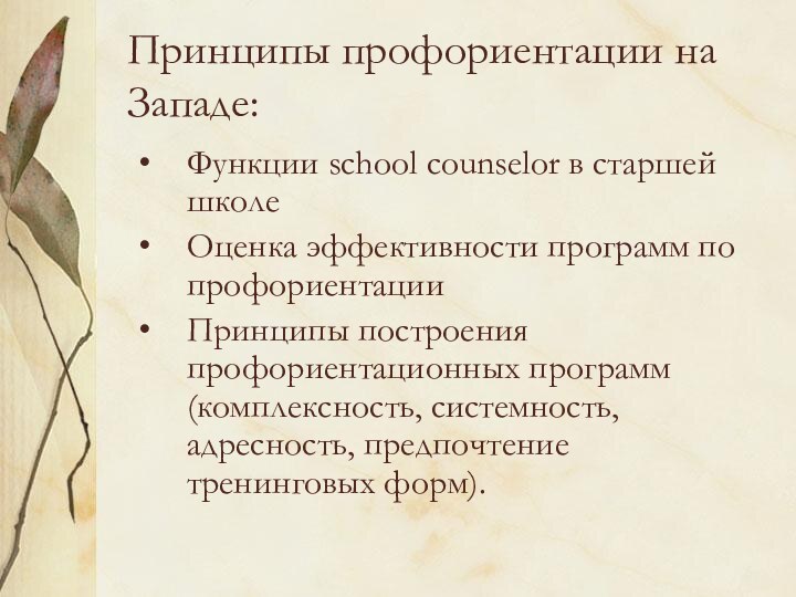 Принципы профориентации на Западе:Функции school counselor в старшей школеОценка эффективности программ по