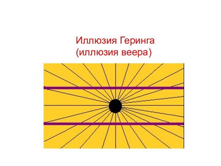 Иллюзия Геринга (иллюзия веера)