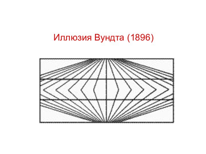 Иллюзия Вундта (1896)