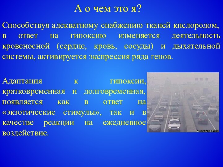 А о чем это я?Способствуя адекватному снабжению тканей кислородом, в ответ на