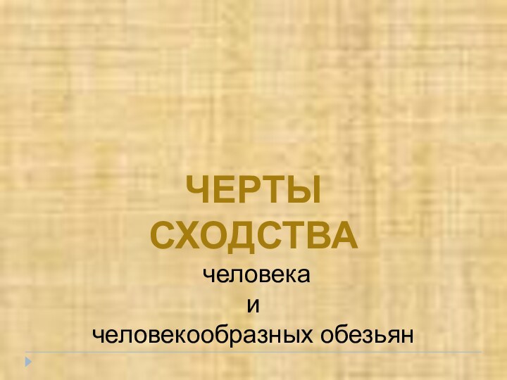 ЧЕРТЫ СХОДСТВА человека и человекообразных обезьян