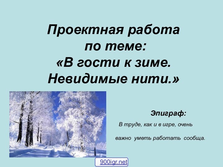 Проектная работа   по теме:  «В