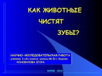 Как животные чистят зубы?