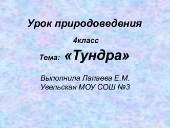 Тундра