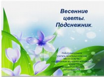 Весенние цветы. Подснежник