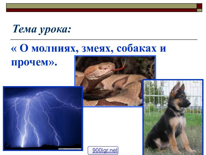 Тема урока:   « О молниях, змеях, собаках и прочем».