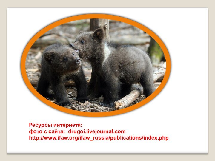 Ресурсы интернета:фото с сайта:  drugoi.livejournal.comhttp://www.ifaw.org/ifaw_russia/publications/index.php