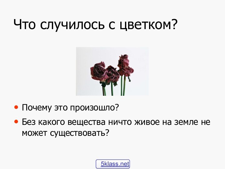 Что случилось с цветком?Почему это произошло?Без какого вещества ничто живое на земле не может существовать?