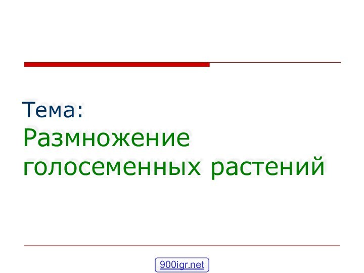 Тема:  Размножение голосеменных растений