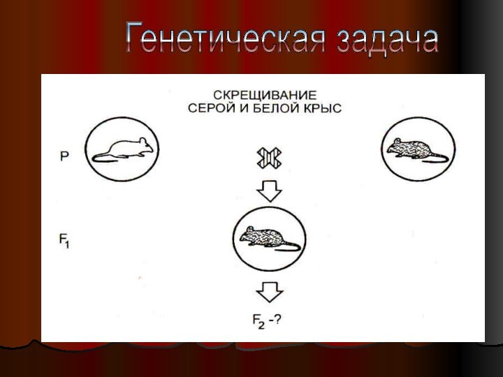 Генетическая задача