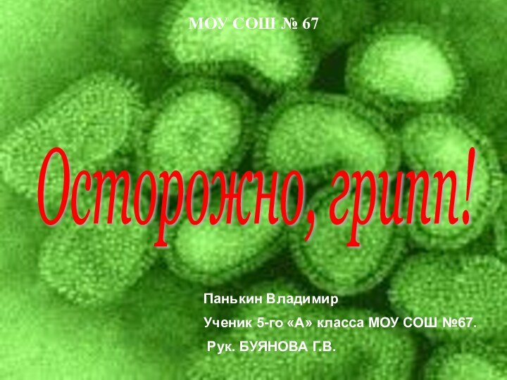 Панькин Владимир Ученик 5-го «А» класса МОУ СОШ №67. Рук. БУЯНОВА Г.В.МОУ