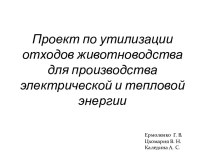 Проект по утилизации отходов животноводства для производства электрической и тепловой энергии