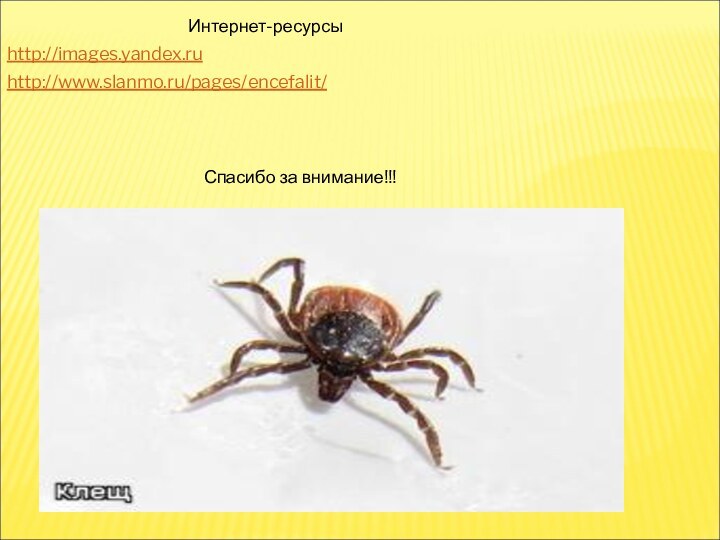 http://images.yandex.ruhttp://www.slanmo.ru/pages/encefalit/     Интернет-ресурсыСпасибо за внимание!!!