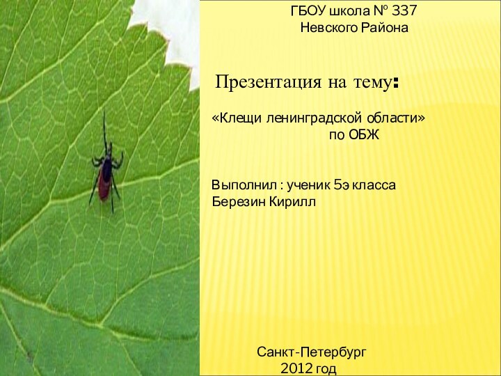 ГБОУ школа № 337 Невского Района Презентация на тему: «Клещи ленинградской области»по