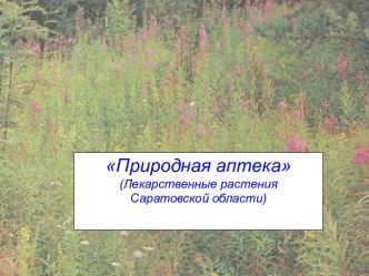 -Природная аптека-