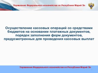 Осуществление кассовых операций со средствами бюджетов на основании платежных документов, порядок заполнения форм документов, предусмотренных для проведения кассовых