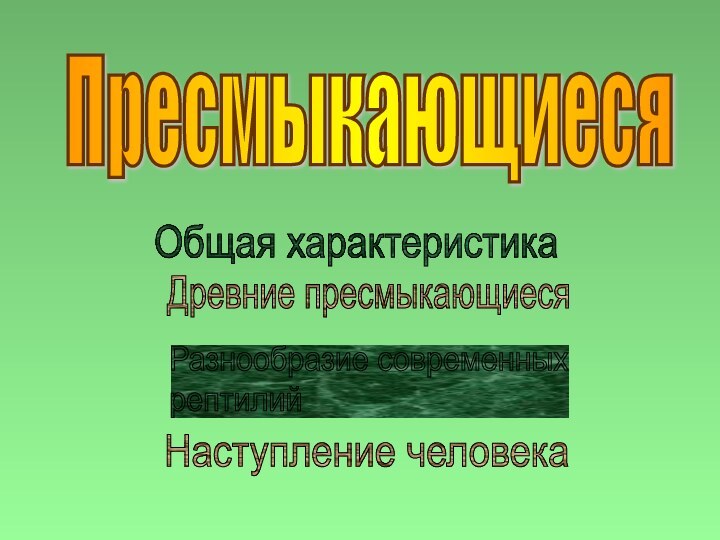 Пресмыкающиеся Общая характеристикаДревние пресмыкающиесяРазнообразие современных  рептилийНаступление человека