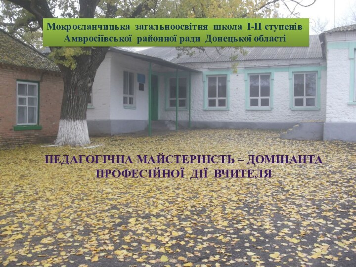 Мокроєланчицька загальноосвітня школа І-ІІ ступенів    Амвросіївської районної ради Донецької