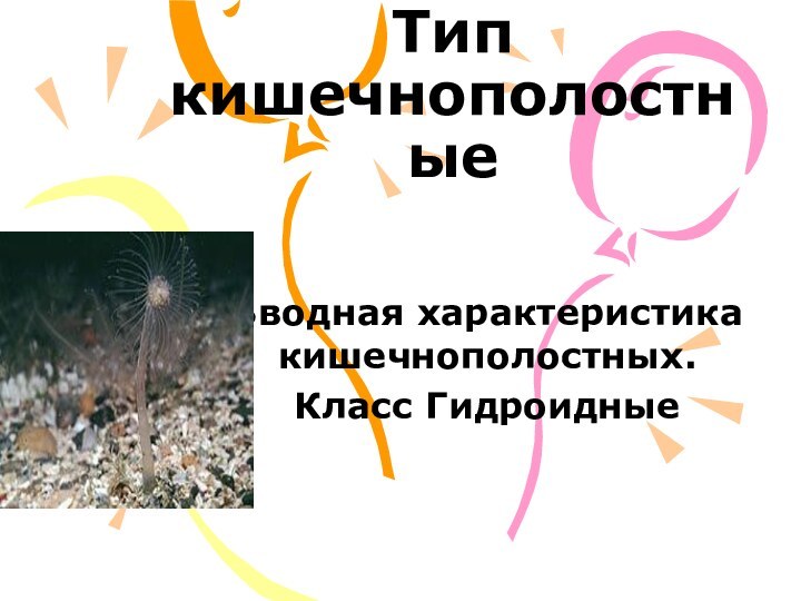 Тип кишечнополостныеВводная характеристика кишечнополостных.Класс Гидроидные