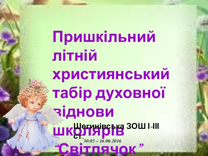 Пришкільний літній християнський табір духовної віднови школярів “Світлячок”Шегинівська ЗОШ І-ІІІ ст.30.05 – 16.06 2016