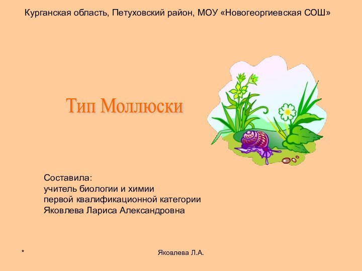 *Яковлева Л.А.Курганская область, Петуховский район, МОУ «Новогеоргиевская СОШ»Тип Моллюски Составила:учитель биологии и