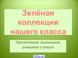 2 класс Комнатные растения