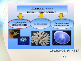 Классы типа кишечнополостные