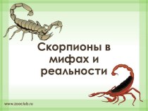 Скорпионы