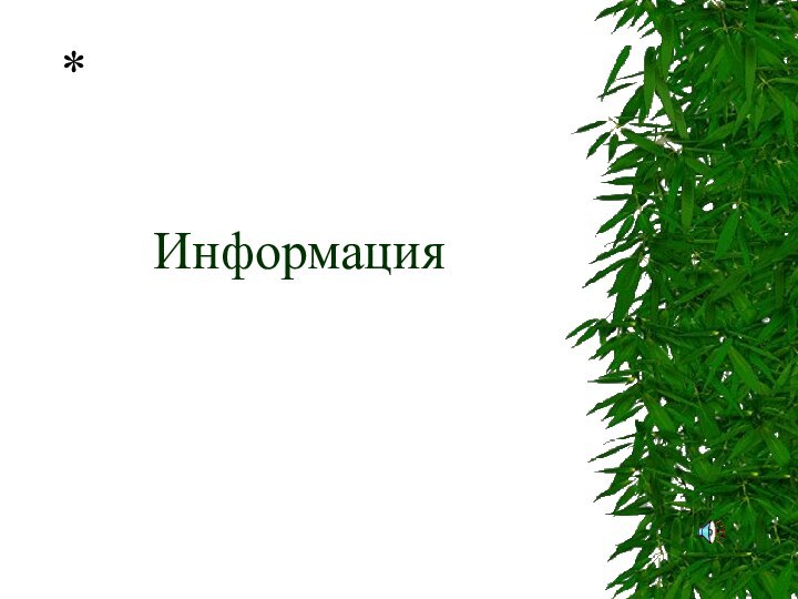 Информация*