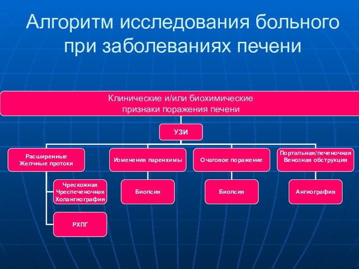 Алгоритм исследования больного при заболеваниях печени