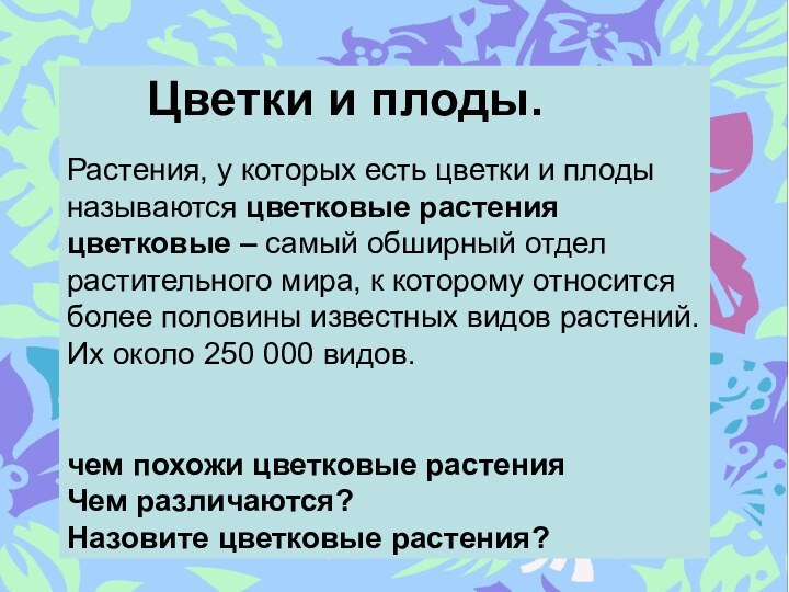 Цветки и плоды.  Растения, у которых есть цветки