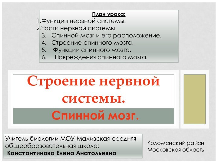 Спинной мозг.Строение нервной системы.План урока:Функции нервной системы.Части нервной системы.3.  Спинной мозг