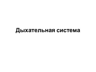 Дыхательная система