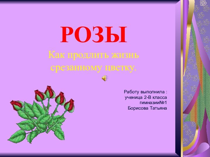 РОЗЫ Как продлить жизнь срезанному цветку.Работу выполнила :ученица 2-В классагимназии№1Борисова Татьяна