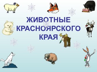 ЖИВОТНЫЕ КРАСНОЯРСКОГО КРАЯ