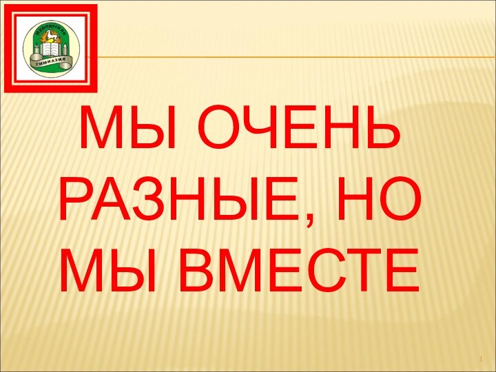 МЫ ОЧЕНЬ РАЗНЫЕ, НО МЫ ВМЕСТЕ