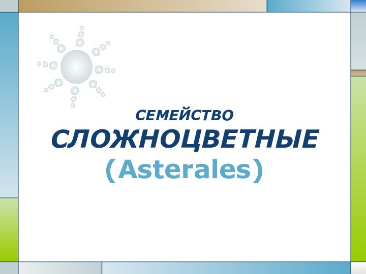 СЕМЕЙСТВО СЛОЖНОЦВЕТНЫЕ (Asterales)