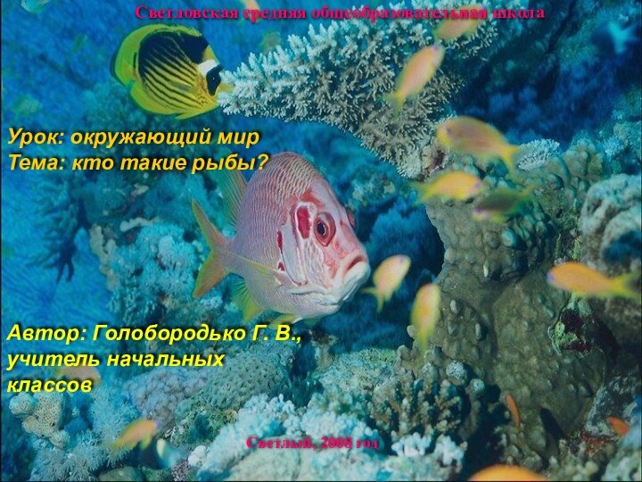 Светловская средняя общеобразовательная школаСветлый, 2008 годУрок: окружающий мир Тема: кто такие рыбы?Автор: