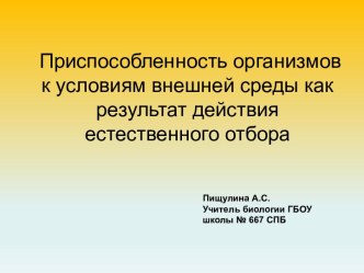 Приспособленность организмов к условиям внешней среды как результат действия естественного отбора