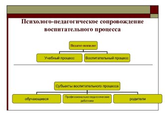 Психолого-педагогическое сопровождение воспитательного процесса