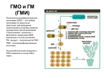 ГМО и ГМИ