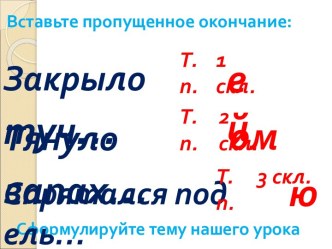 Правописание безударных окончаний существительных в творительном падеже