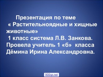 Хищные животные