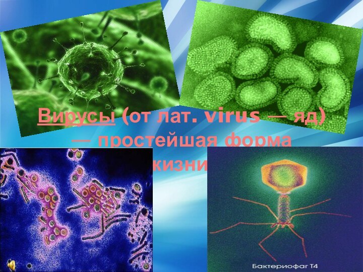 Вирусы (от лат. virus — яд) — простейшая форма жизни.