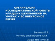 Организация исследовательской работы младших школьников на уроках и во внеурочное время