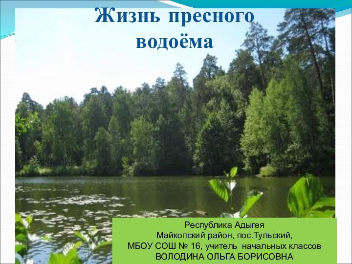 Жизнь пресного водоёмаРеспублика Адыгея Майкопский район, пос.Тульский, МБОУ СОШ № 16, учитель