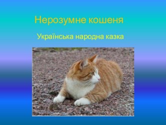 Нерозумне кошеня