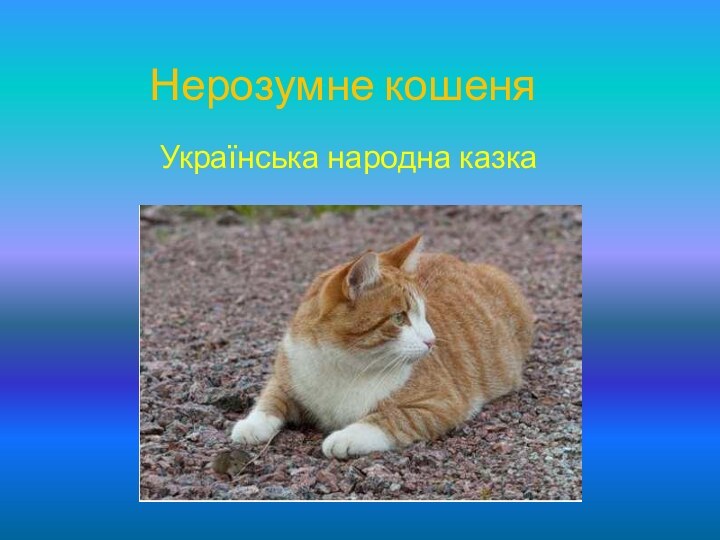 Нерозумне кошеня Українська народна казка