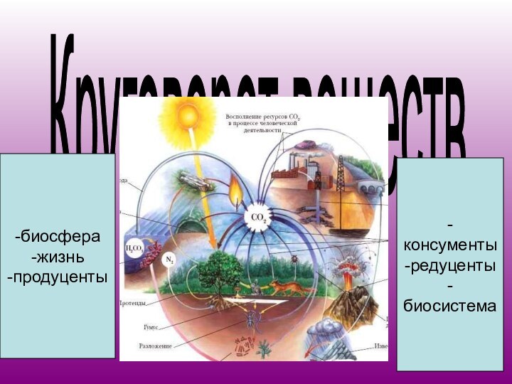 Круговорот веществ-биосфера-жизнь-продуценты -консументы-редуценты-биосистема