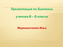 Класс Птицы 8 класс